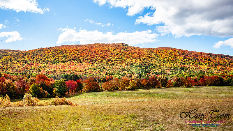 Fall in Nova Scotia 106