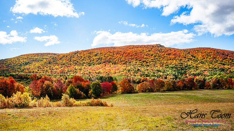 Fall in Nova Scotia 107