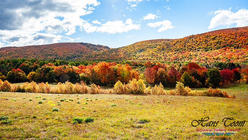 Fall in Nova Scotia 108