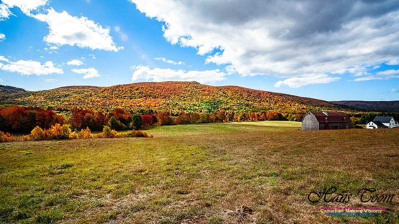 Fall in Nova Scotia 111