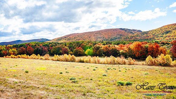 Fall in Nova Scotia 109