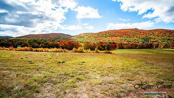 Fall in Nova Scotia 110