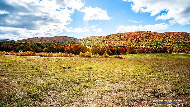 Fall in Nova Scotia 110