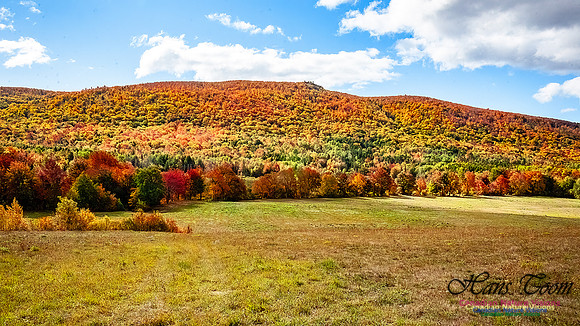 Fall in Nova Scotia 112
