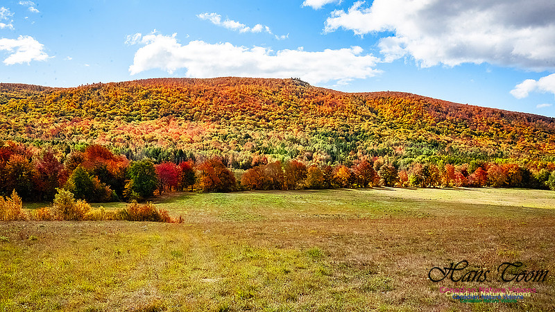 Fall in Nova Scotia 112