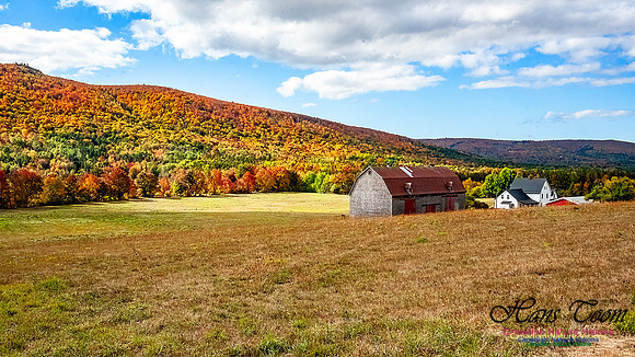 Fall in Nova Scotia 113