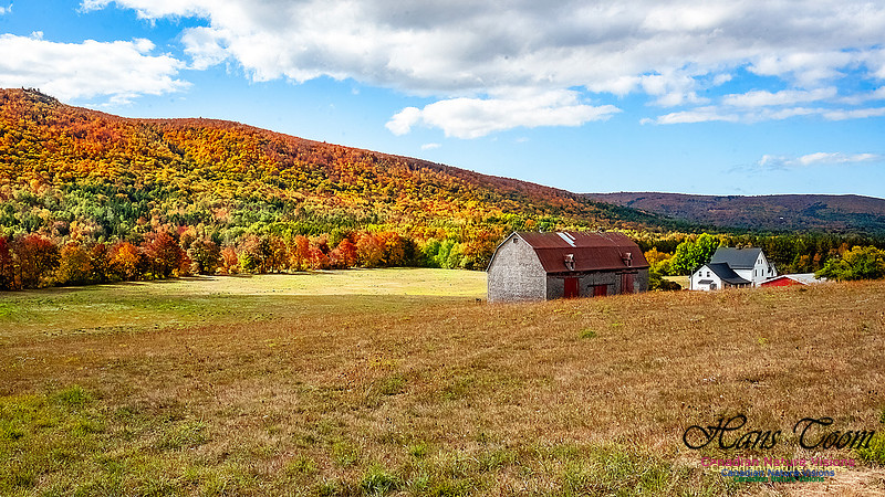 Fall in Nova Scotia 113