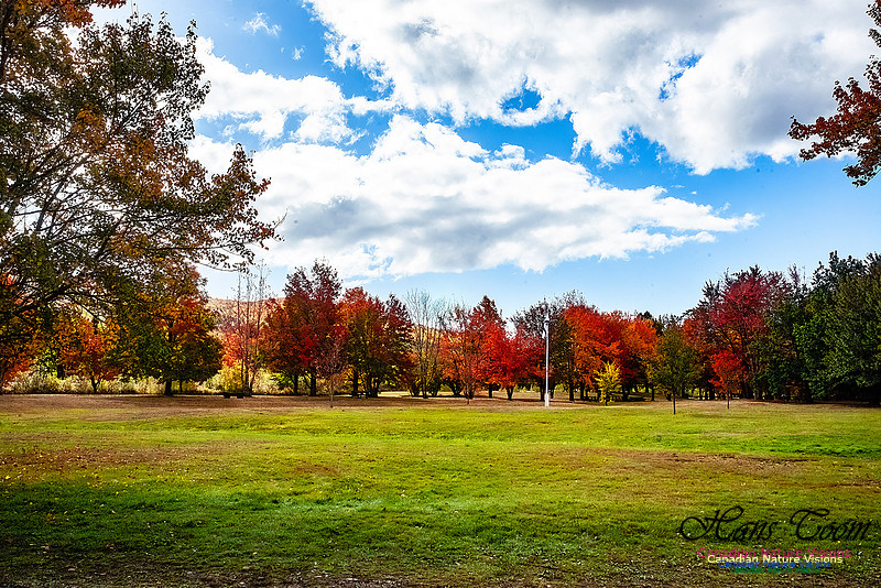 Fall in Nova Scotia 114