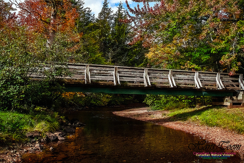 Fall in Nova Scotia 116