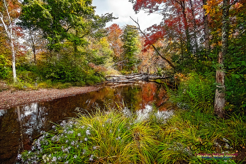 Fall in Nova Scotia 118