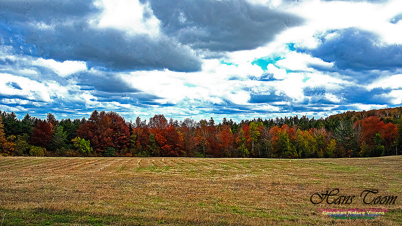 Fall in Nova Scotia 120