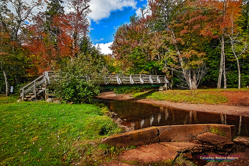 Fall in Nova Scotia 119