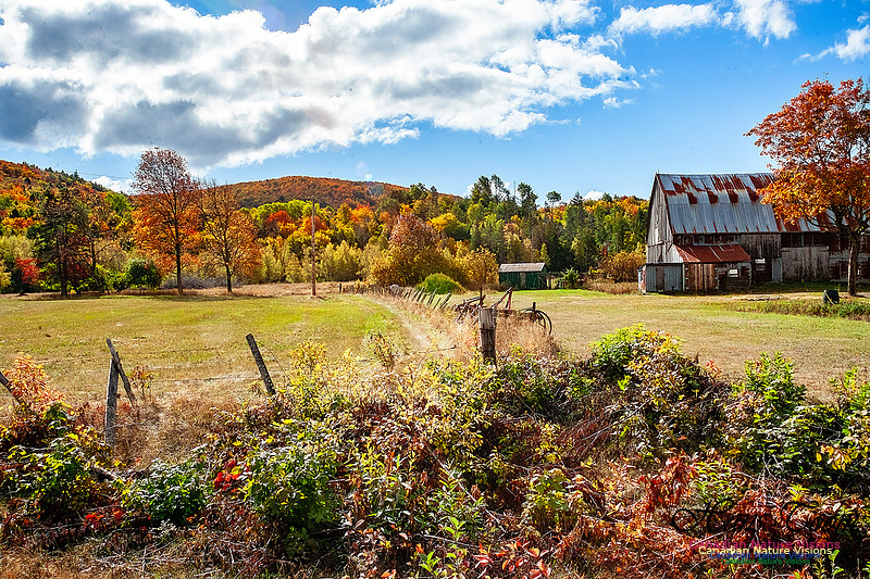 Fall in Nova Scotia 123