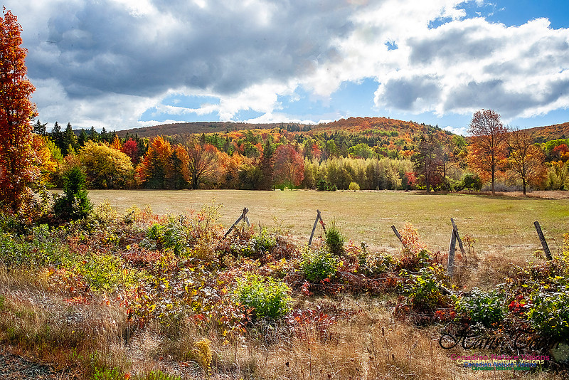 Fall in Nova Scotia 124
