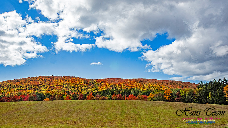 Fall in Nova Scotia 127