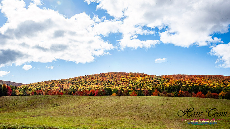 Fall in Nova Scotia 128