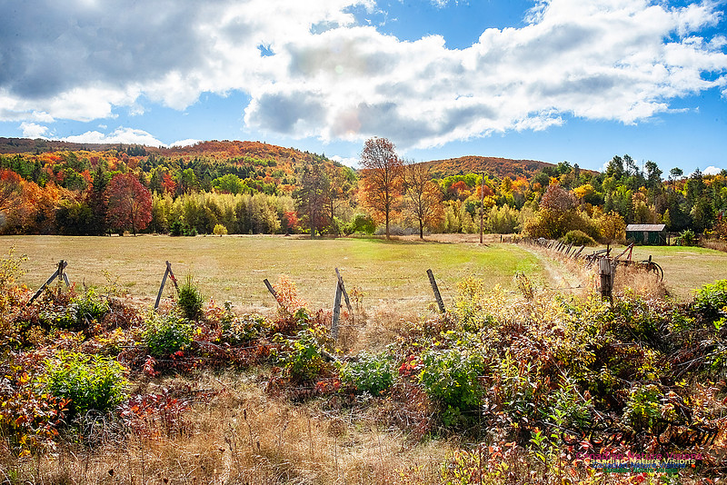 Fall in Nova Scotia 126