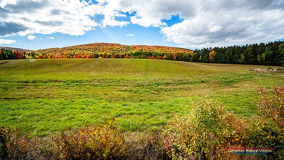 Fall in Nova Scotia 130