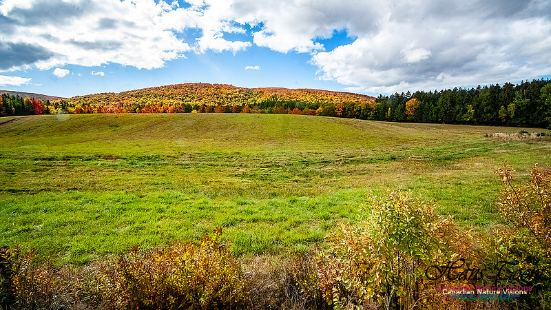 Fall in Nova Scotia 130