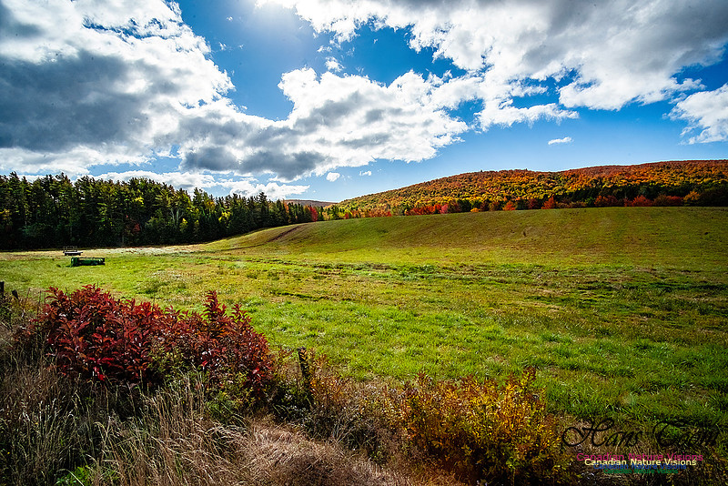 Fall in Nova Scotia 129