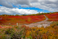 Nova Scotia in Fall Colours