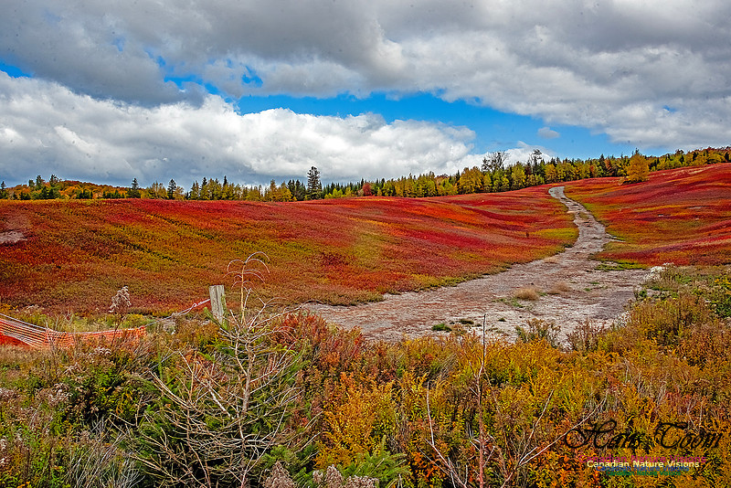 Fall in Nova Scotia 132
