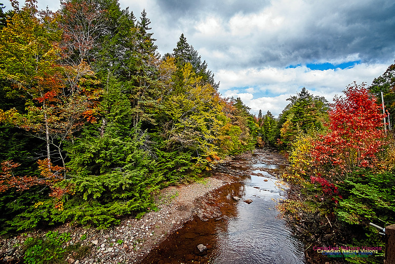 Fall in Nova Scotia 141