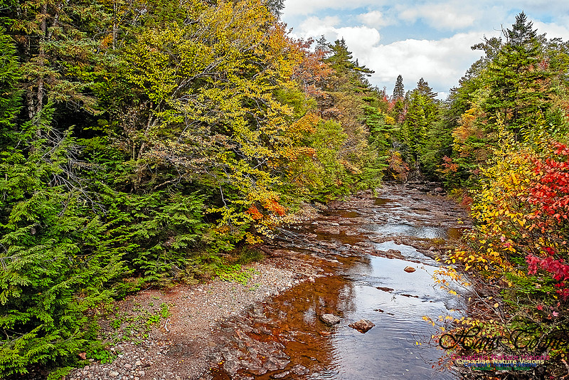Fall in Nova Scotia 140