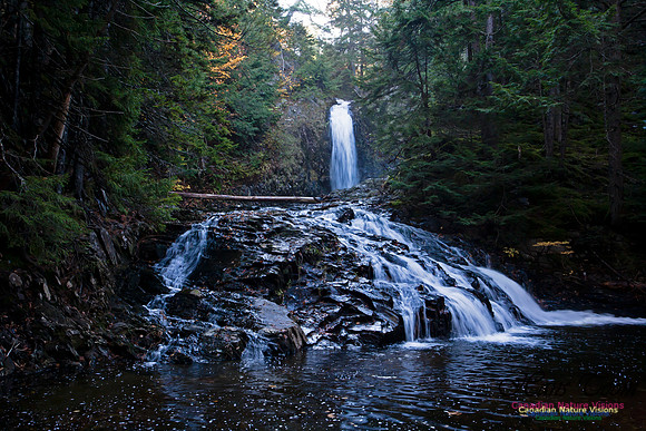 Butchers Falls