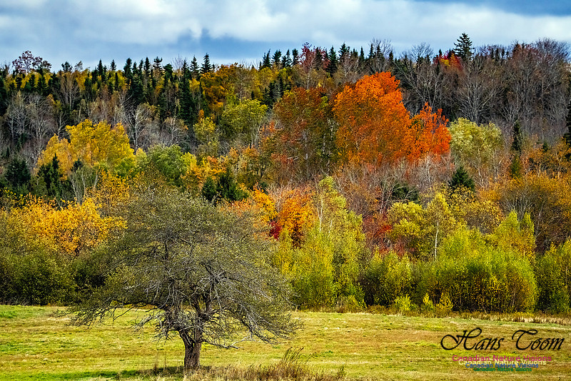 Smiley's Provincial Park Colours and Points On Route 191