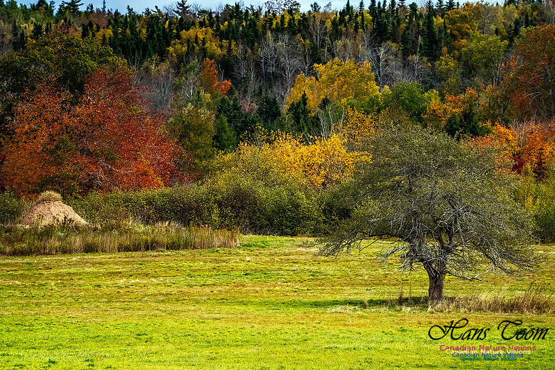 Smiley's Provincial Park Colours and Points On Route 192