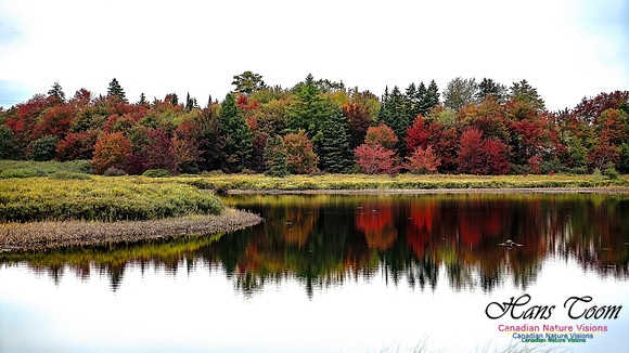 Smiley's Provincial Park Colours and Points On Route 102