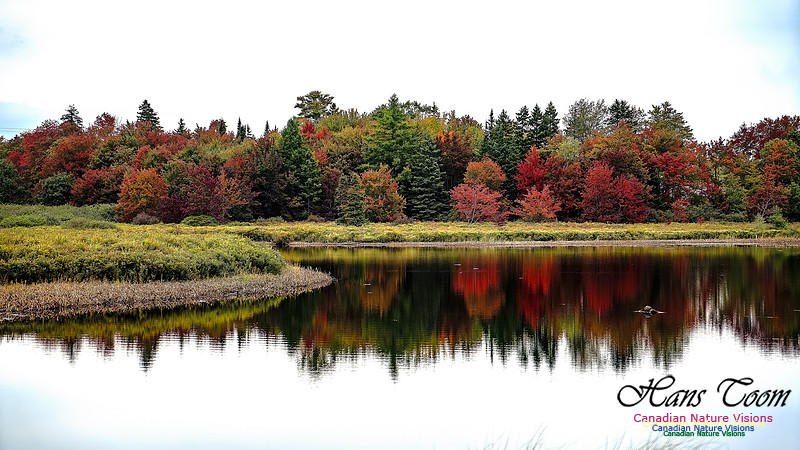 Smiley's Provincial Park Colours and Points On Route 102