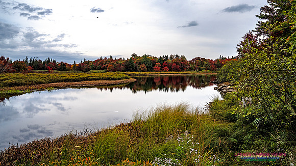 Smiley's Provincial Park Colours and Points On Route 103