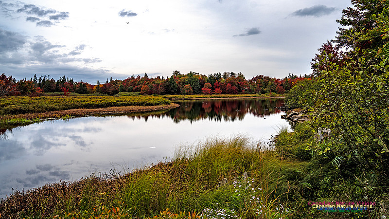 Smiley's Provincial Park Colours and Points On Route 103