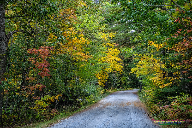 Smiley's Provincial Park Colours and Points On Route 100
