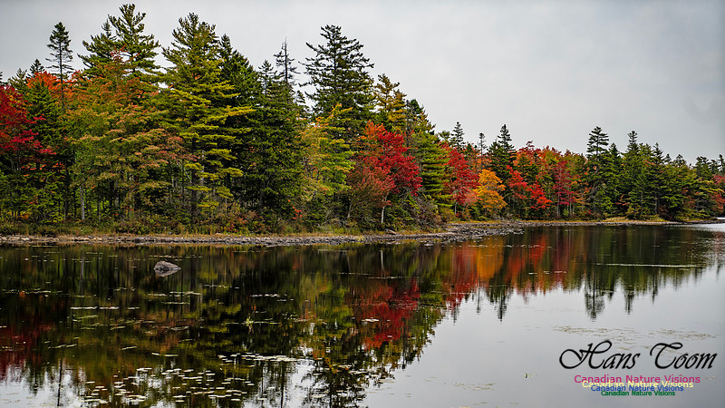 Smiley's Provincial Park Colours and Points On Route 104