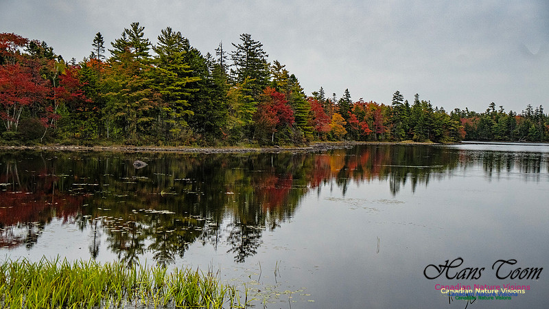 Smiley's Provincial Park Colours and Points On Route 107