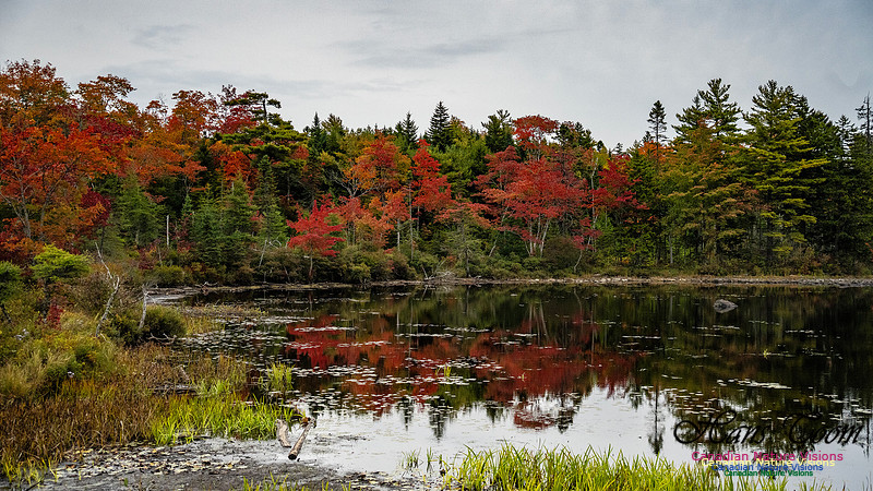 Smiley's Provincial Park Colours and Points On Route 108