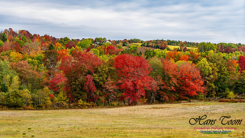Smiley's Provincial Park Colours and Points On Route 117