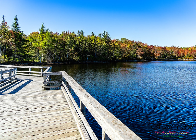 Smiley's Provincial Park Colours and Points On Route 119