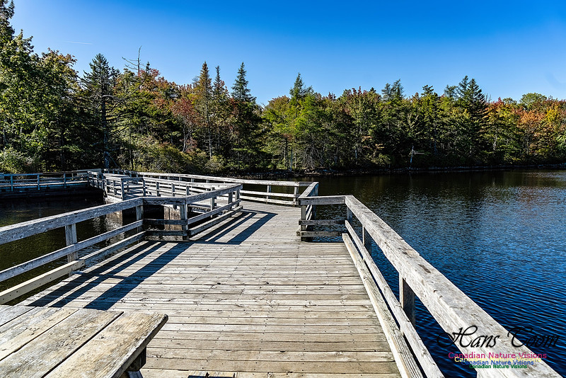 Smiley's Provincial Park Colours and Points On Route 120