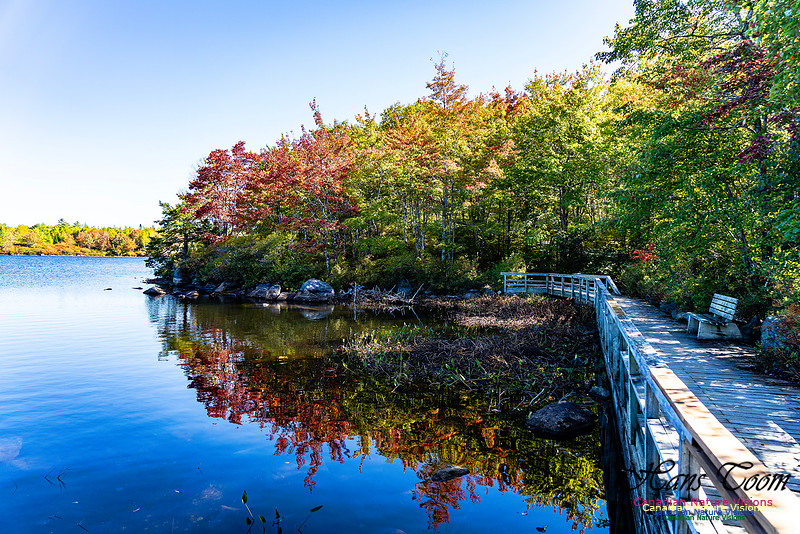 Smiley's Provincial Park Colours and Points On Route 123