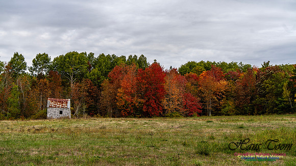 Smiley's Provincial Park Colours and Points On Route 127