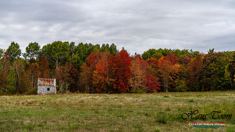 Smiley's Provincial Park Colours and Points On Route 127