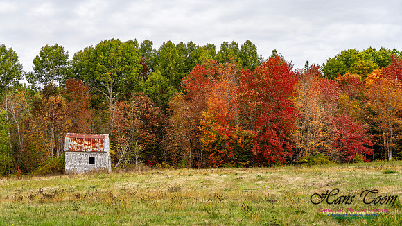 Smiley's Provincial Park Colours and Points On Route 128