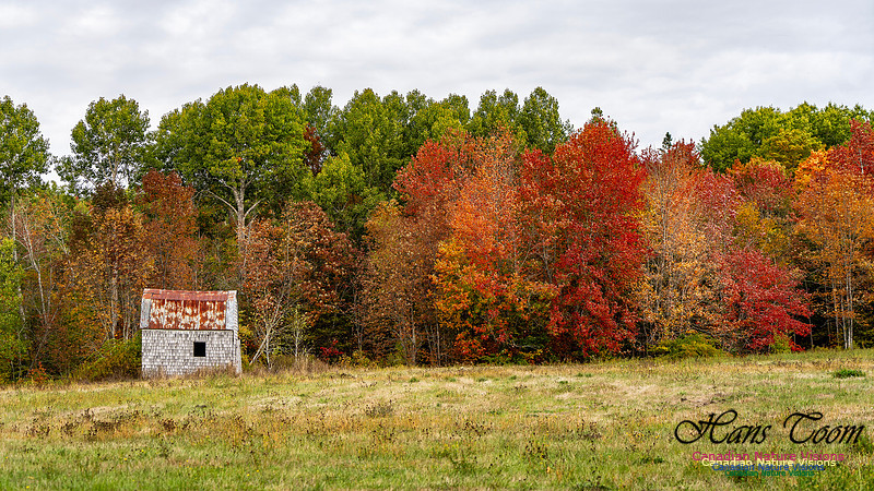 Smiley's Provincial Park Colours and Points On Route 128