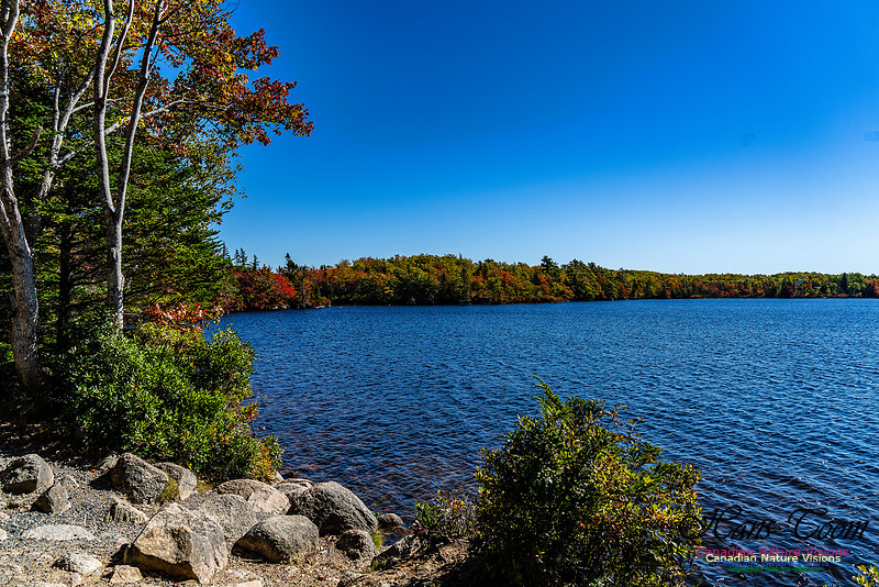 Smiley's Provincial Park Colours and Points On Route 131