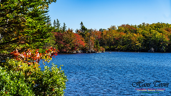 Smiley's Provincial Park Colours and Points On Route 132