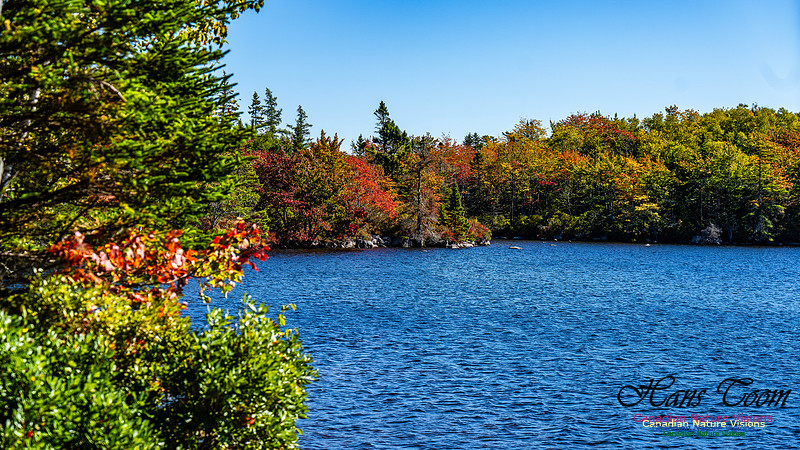 Smiley's Provincial Park Colours and Points On Route 132